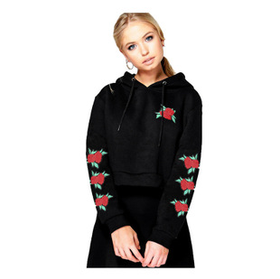 2025 autumn new embroidered small sweater hooded long sleeves