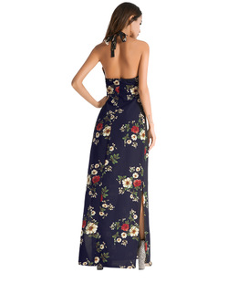 2025 summer new hanging neck sexy split print dress